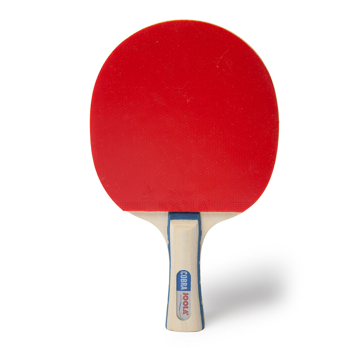 White Background Image: Product Image of a JOOLA Cobra Table Tennis Racket.