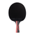 White Background Image: JOOLA Edge Table Tennis racket.
