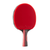 White Background Image: JOOLA Edge Table Tennis racket.