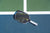 Product image of the Hyperion C2 Paddle on the pickleball court.