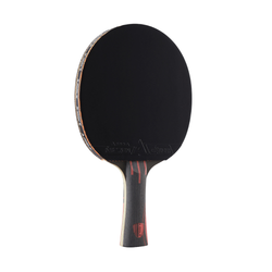 Table Tennis Rackets Category