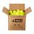 White background, product image of a box of 100 HC-40 pickleballs.