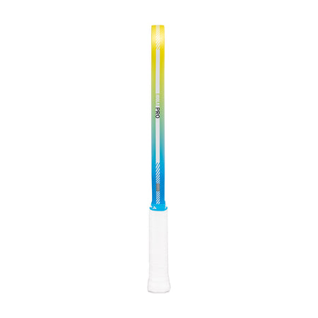 White background, edge guard on the JOOLA pro IV pickleball paddle.