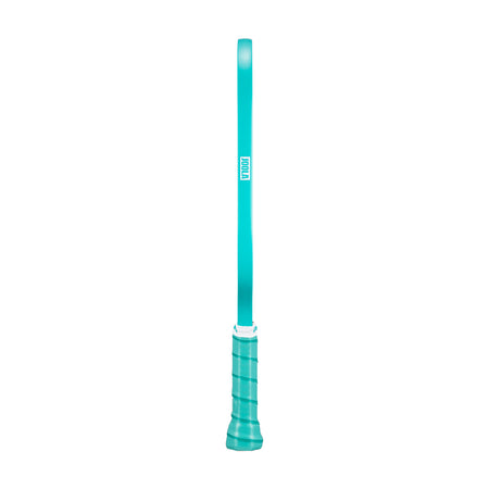 White background, product image of the teal edge guard on the teal JOOLA Essentials Dash pickleball paddle.