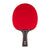 White background, a JOOLA Table Tennis Racket with a red surface.