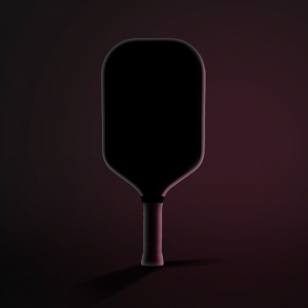 Image of the JOOLA Magnus Pro IV pickleball paddle.