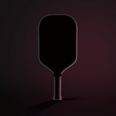 Image of the JOOLA Magnus Pro IV pickleball paddle.