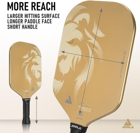 Two pickleball paddles with Joola branding, one larger and one smaller, on a light background.